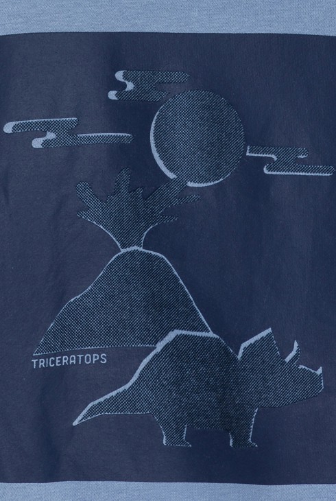 Blaues Sweatshirt mit Dinosauriermotiv Jungen 2