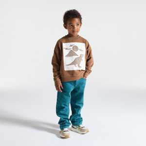 Braunes Sweatshirt mit Dinosauriermotiv für Jungen