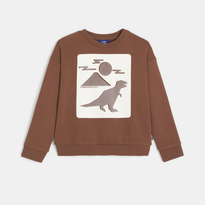 Braunes Sweatshirt mit Dinosauriermotiv für Jungen