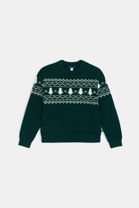 Pull en maille vert motif hivernal Garçon 1