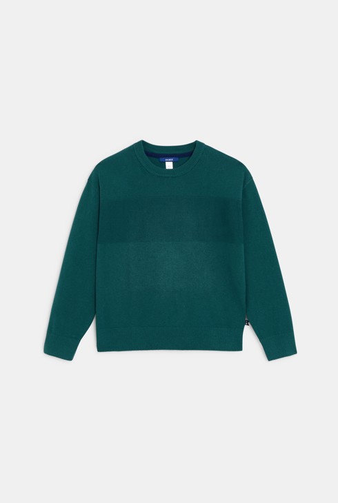 Pull col rond uni vert Garçon 1