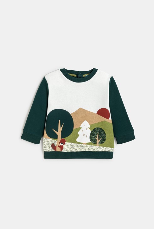 Sweatshirt grün Kleinkind Junge 1