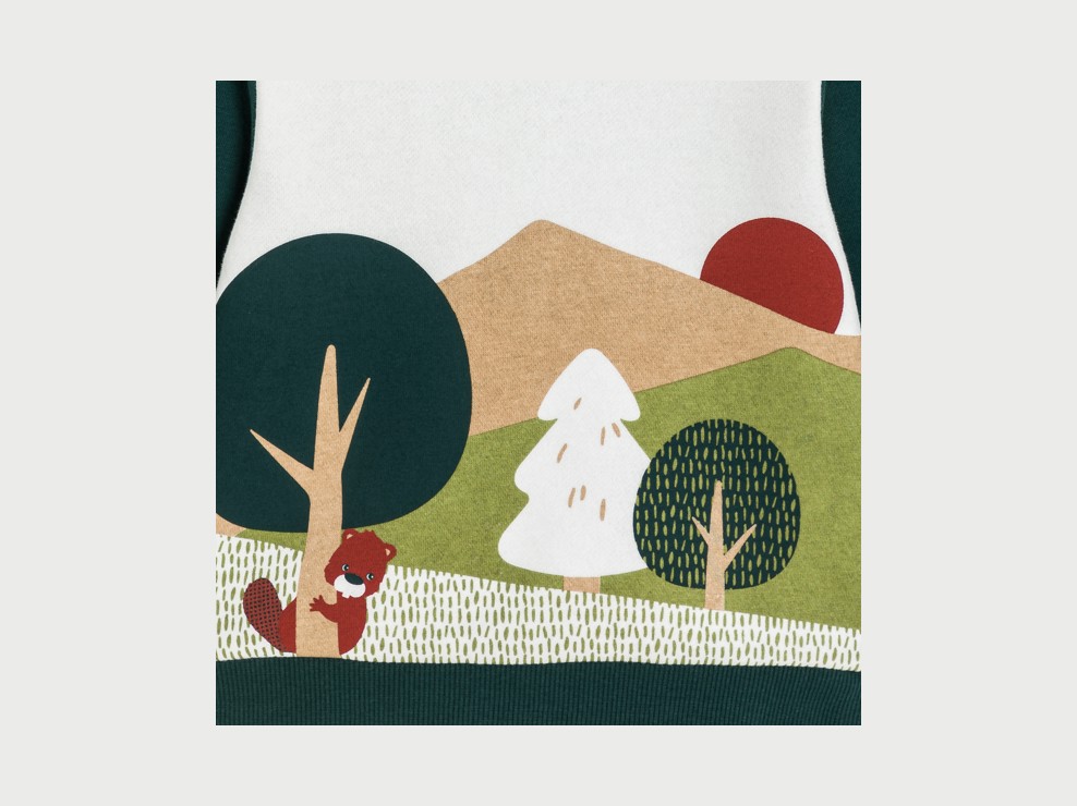 Sweatshirt grün Kleinkind Junge 2