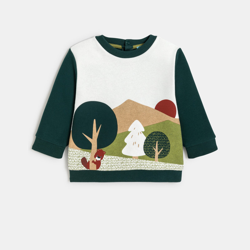 Sweatshirt grün Kleinkind Junge