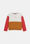 Sweat-shirt garçon gris