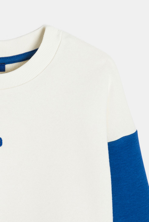 Sweatshirt Colorblock aus Molton grün Jungen