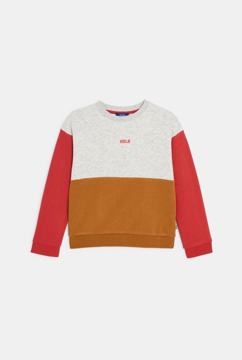 Boy's grey sweatshirt 2