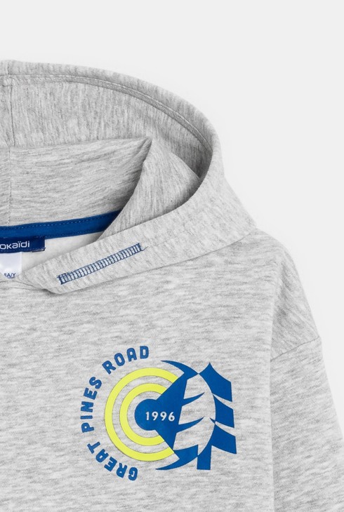 Dessuadora amb caputxa gris nen 2