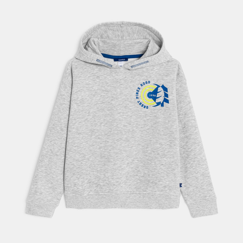 Kapuzen-Sweatshirt grau Jungen