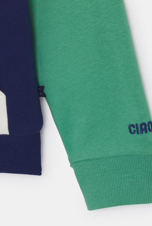 Sweat à capuche bleu colorblock Garçon