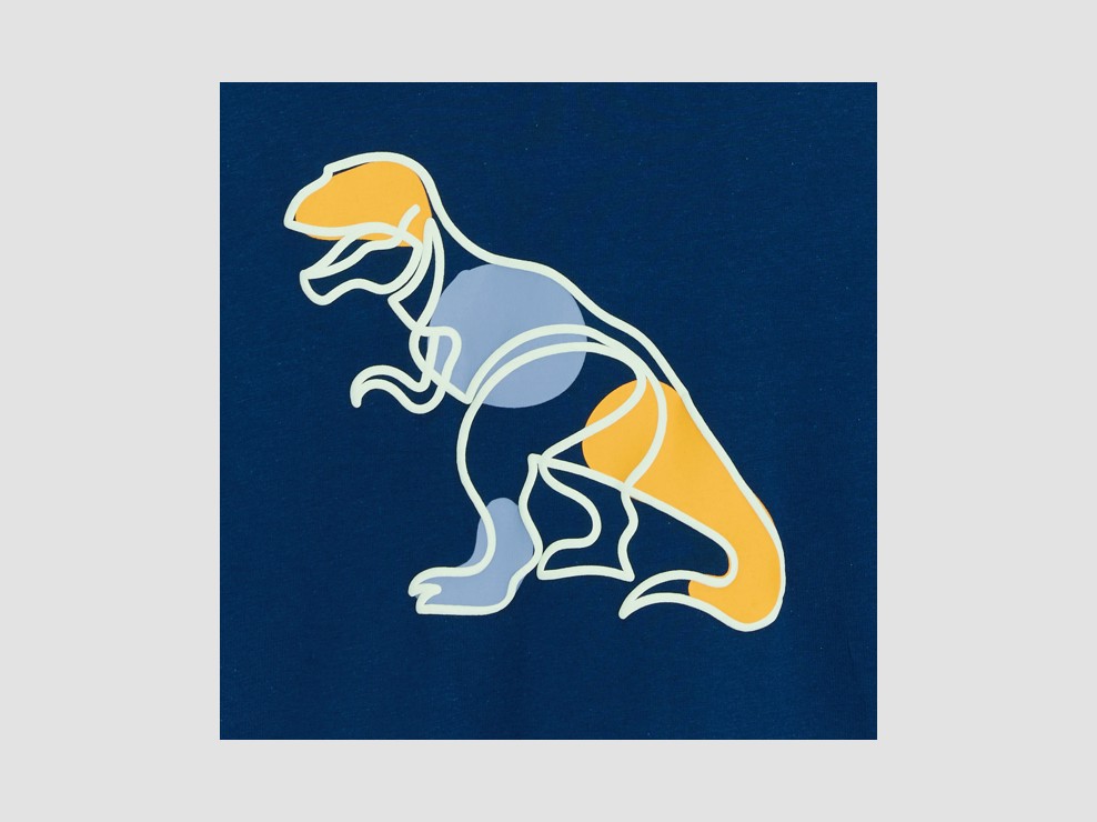 Camiseta azul con motivo dinosaurio niño 2