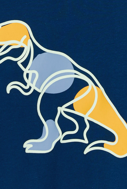 Plava sportska majica s motivom dinosaura za dječake 2