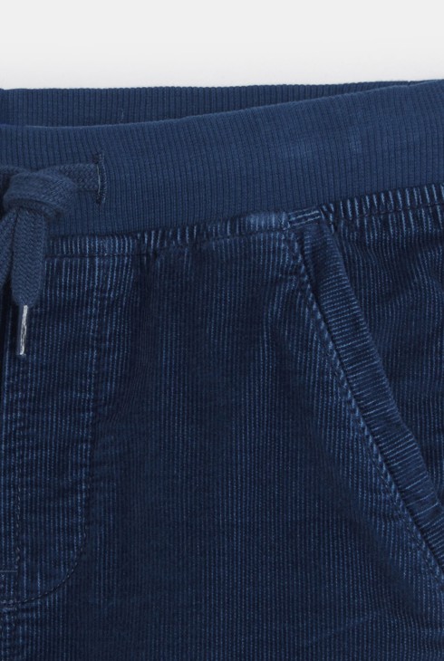 Pantalon en velours bleu Garçon 2