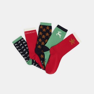 Lot de chaussettes multicolores Garçon