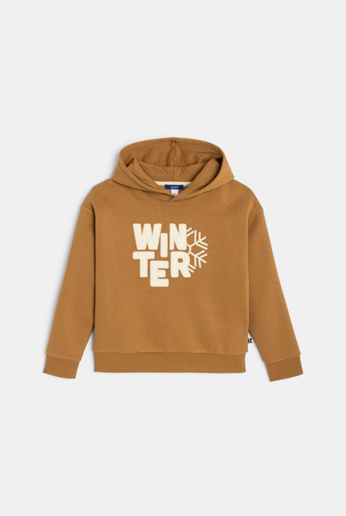 Dessuadora amb caputxa marró 2