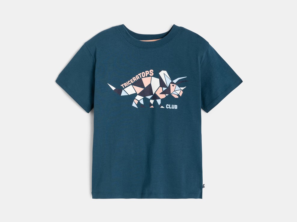 Blauw T-shirt met dinosaurprint voor jongens 1
