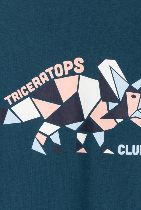 T-shirt dinosaure bleu garçon 2