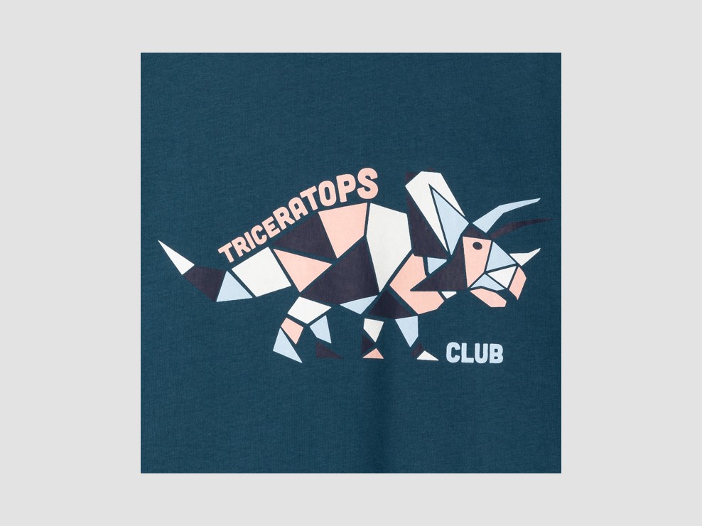 Blauw T-shirt met dinosaurprint voor jongens 2