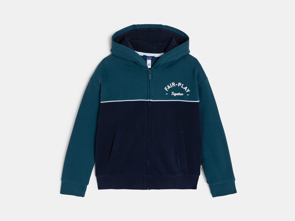 Sweat zippé à capuche bicolore bleu garçon 2