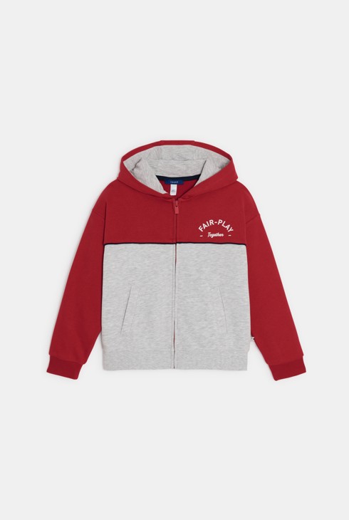 Sweat zippé à capuche bicolore gris garçon 1