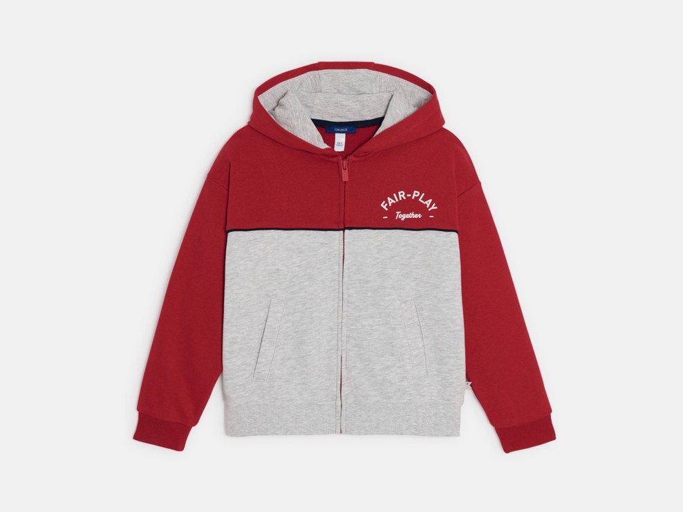 Sweat zippé à capuche bicolore gris garçon 2