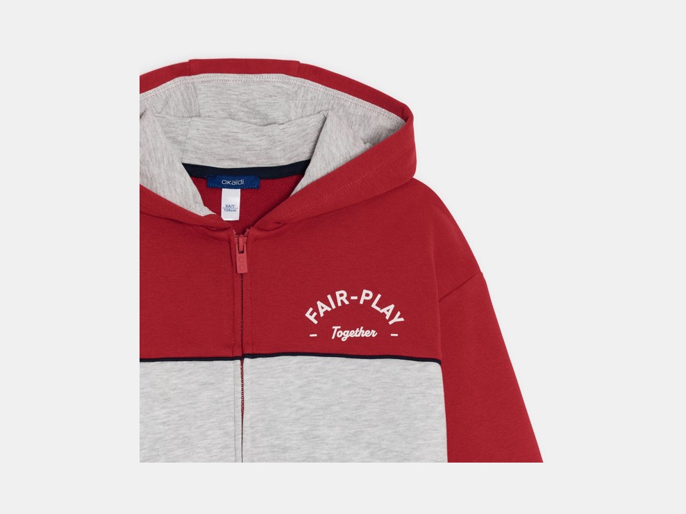 Sweat zippé à capuche bicolore gris garçon 2