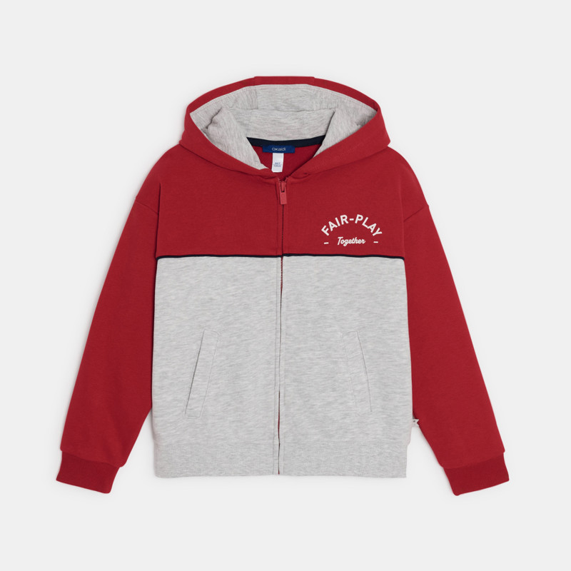 Zweifarbiges Sweatshirt in Grau mit Reißverschluss und Kapuze für Jungen