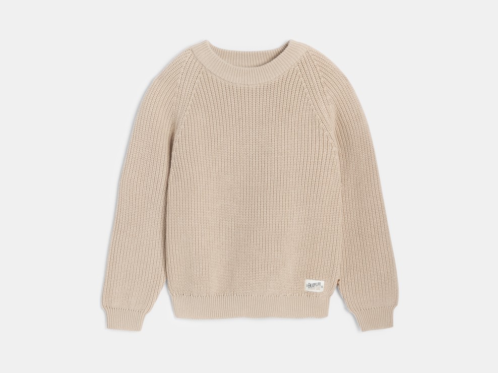 Pull col rond uni beige Garçon 1