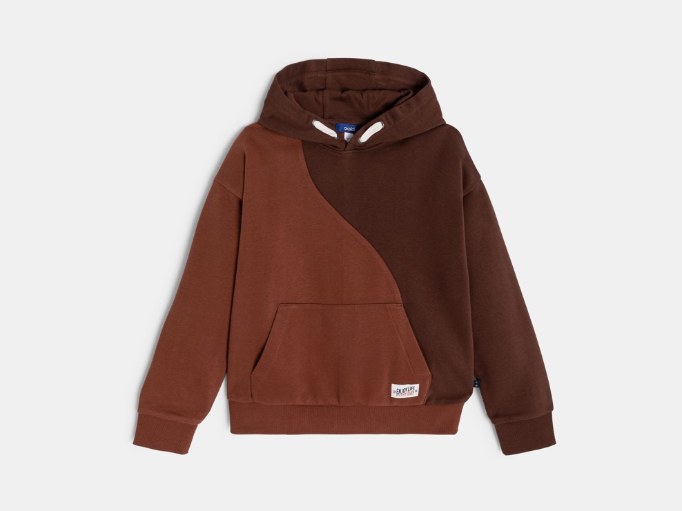 Bruine sweater met kap en colorblock voor jongens 2