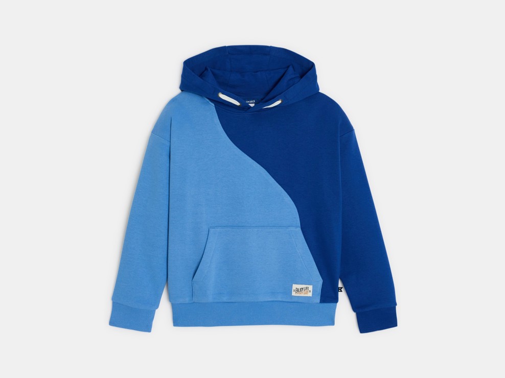 Sweat à capuche colorblock bleu garçon 2