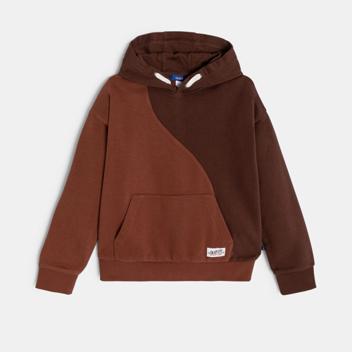 Sweat À Capuche Colorblock Marron Garçon - Chocolat - 6A - OKAIDI
