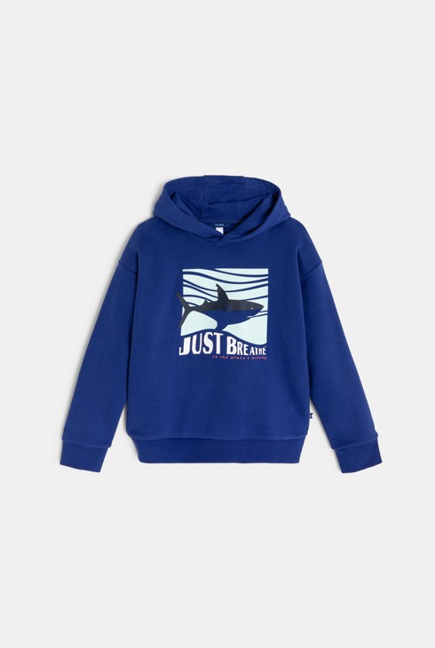 Blaues Molton-Sweatshirt mit Kapuze für Jungen 1