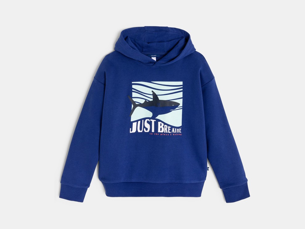 Sweat à capuche molleton bleu garçon 2