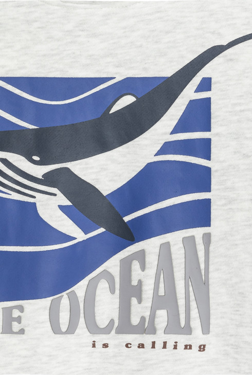 Dessuadora amb caputxa moletó gris nen 2