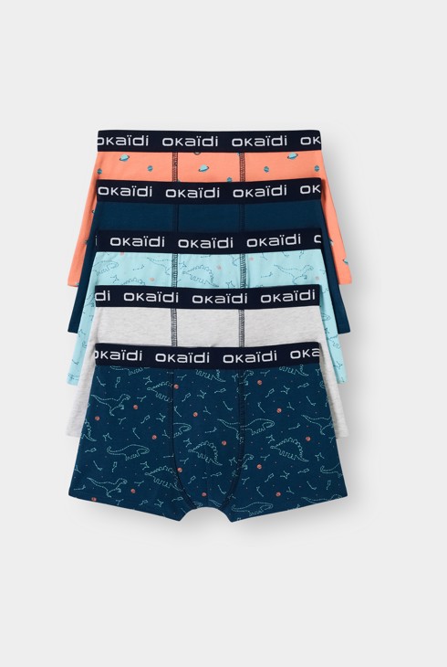Boxers dinosaures bleu garçon (lot de 5) 1