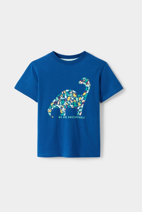 T-shirt bleu motif dinosaure garçon 2