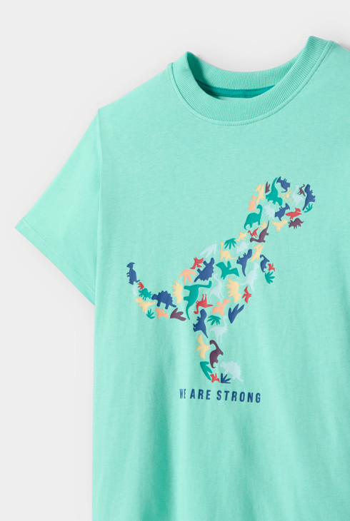 Groen T-shirt met dinosaurusmotief voor jongens 2
