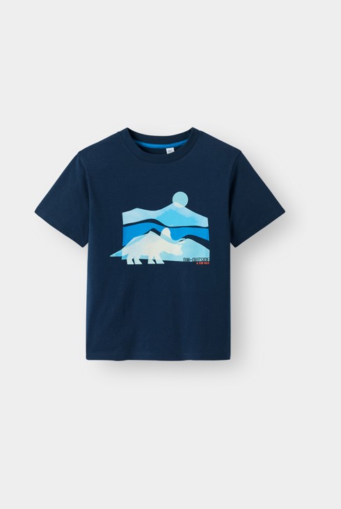 Camiseta con estampado de dinosaurios azul para niño 2