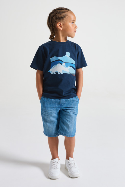 Camiseta con estampado de dinosaurios azul para niño 1