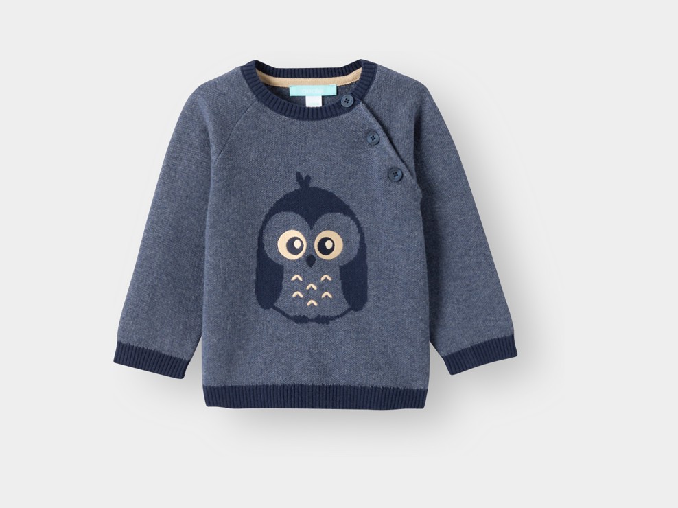Blauer Pullover mit Eulenmotiv für Babyjungen 2