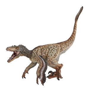 Figurine Dinosaure Vélociraptor à plumes Papo 1