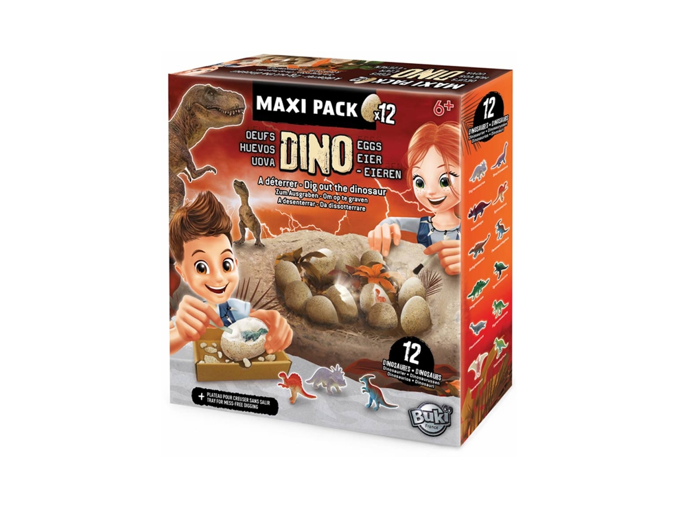 12 maxi oeufs dinosaures à déterrer Buki 1