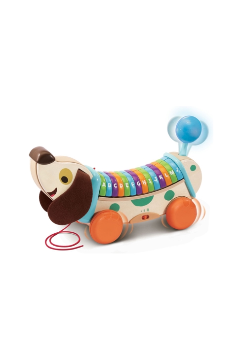 Mon chien ABC interactif à tirer Vtech 1