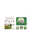 Livre Le grand imagier des animaux à toucher - Larousse Jeunesse 2