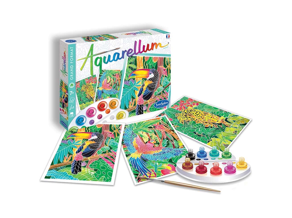 Aquarellum Amazone Sentosphère 1