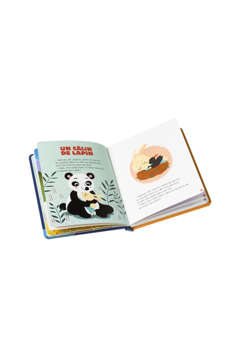 Livre Histoires du soir tout petits - Lito 2