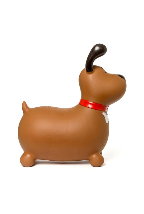 Animal sauteur chien Oxybul 2