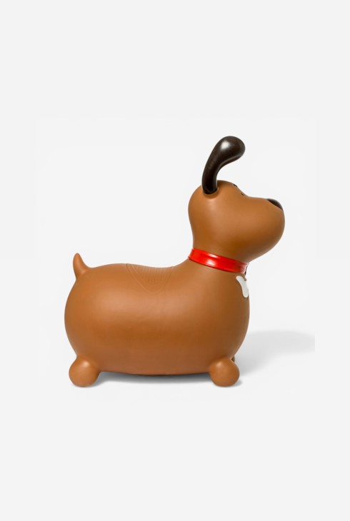 Animal sauteur chien Oxybul 2