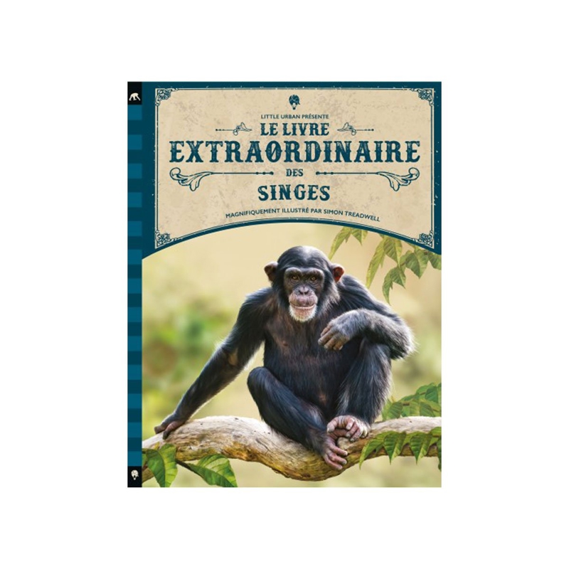 Livre extraordinaire des singes - Little Urban -