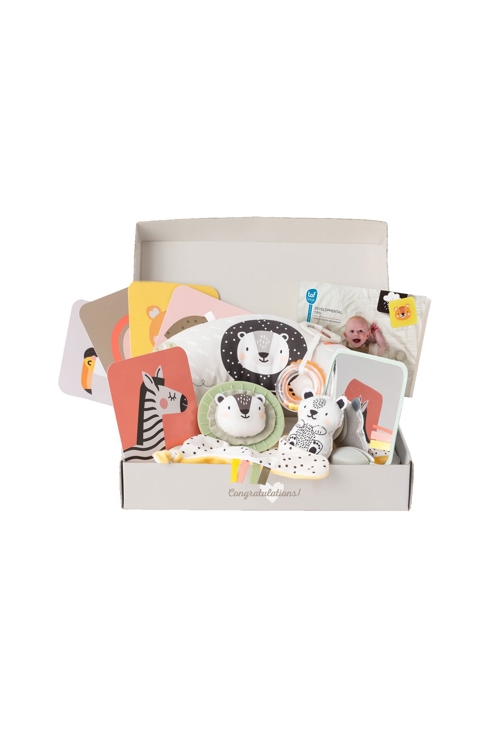 Coffret d'éveil Nouveau né Taf Toys 1
